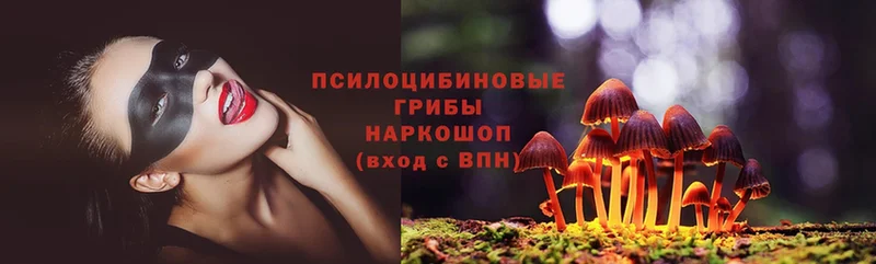 купить закладку  Энгельс  Псилоцибиновые грибы Psilocybe 